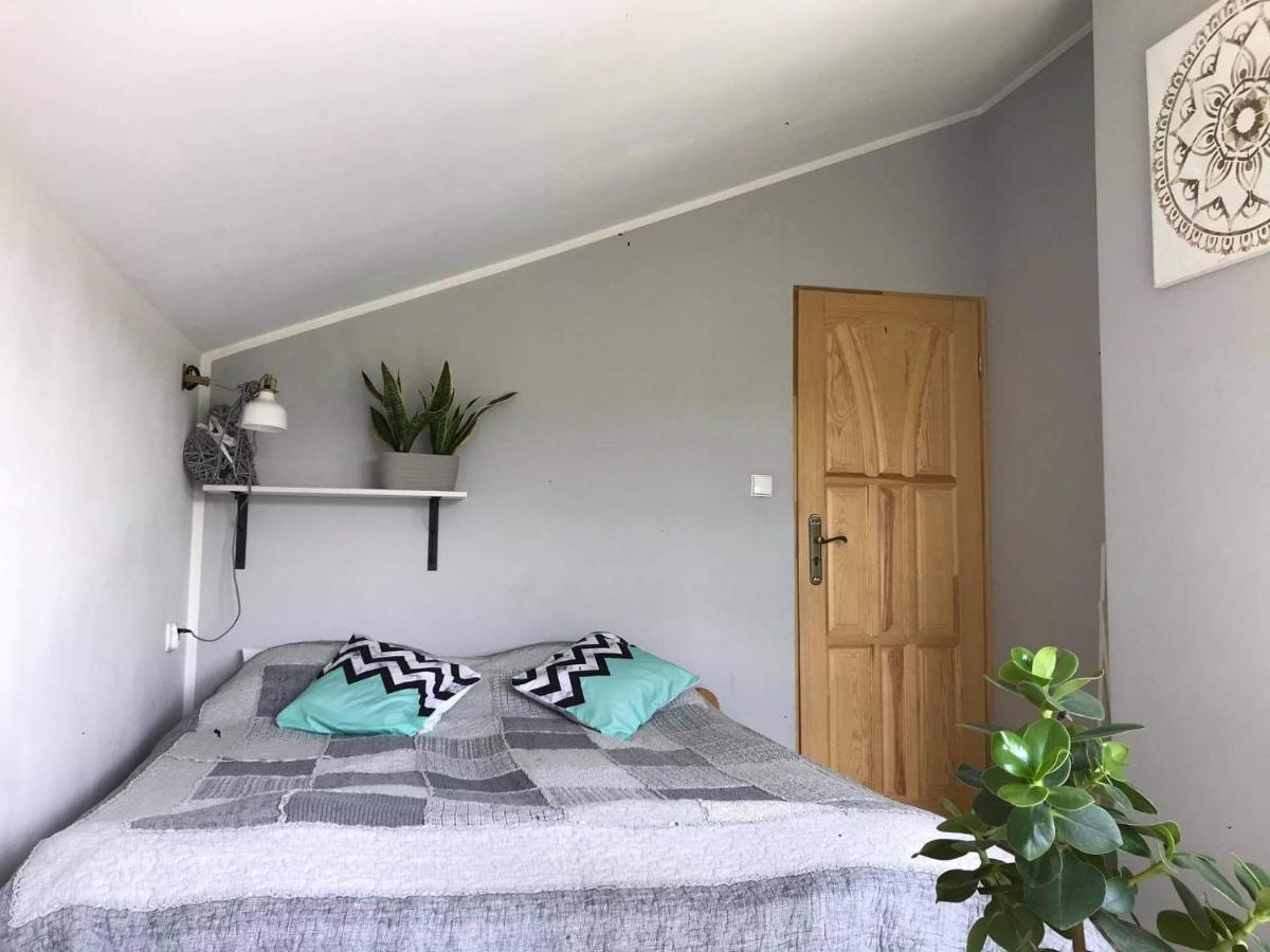 Koliba Nad Bialka Czarna Gora Bed & Breakfast エクステリア 写真