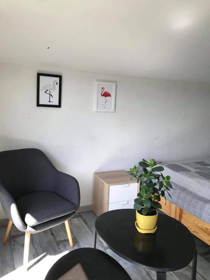 Koliba Nad Bialka Czarna Gora Bed & Breakfast エクステリア 写真